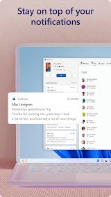 Link to Windows screenshot