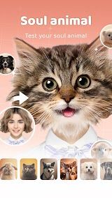 AnimalFace - face types test screenshot