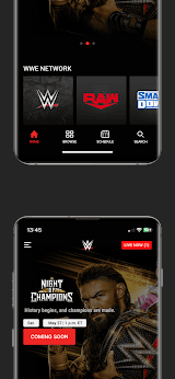 WWE screenshot