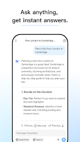 DeepSeek screenshot