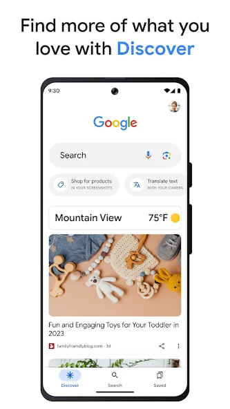 Google screenshot