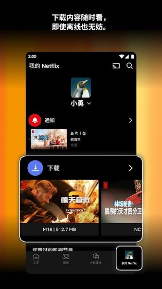 Netflix screenshot