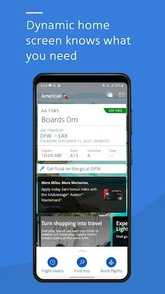 American Airlines screenshot